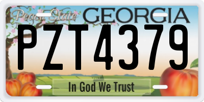 GA license plate PZT4379