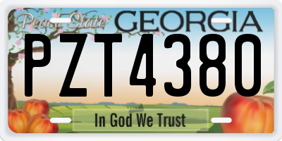 GA license plate PZT4380