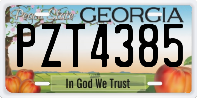GA license plate PZT4385