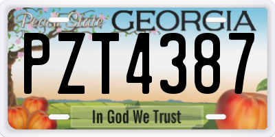 GA license plate PZT4387