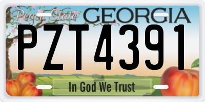 GA license plate PZT4391