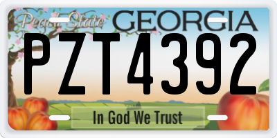 GA license plate PZT4392
