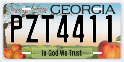 GA license plate PZT4411