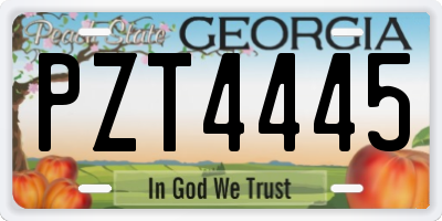 GA license plate PZT4445