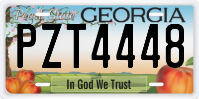 GA license plate PZT4448
