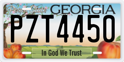 GA license plate PZT4450