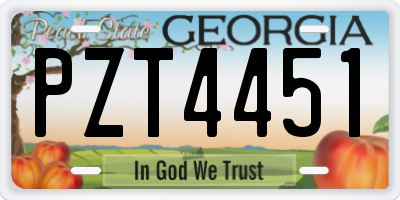 GA license plate PZT4451