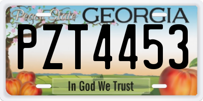 GA license plate PZT4453
