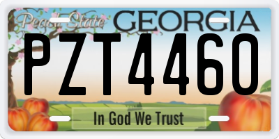 GA license plate PZT4460