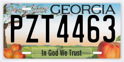 GA license plate PZT4463