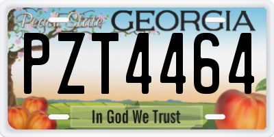 GA license plate PZT4464