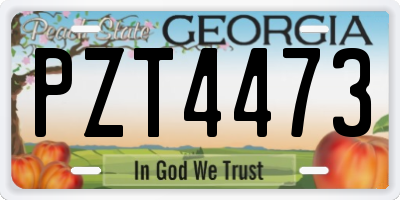 GA license plate PZT4473