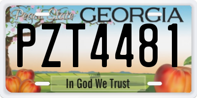 GA license plate PZT4481