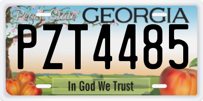 GA license plate PZT4485