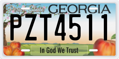 GA license plate PZT4511
