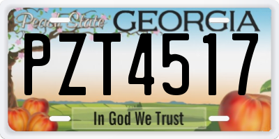 GA license plate PZT4517