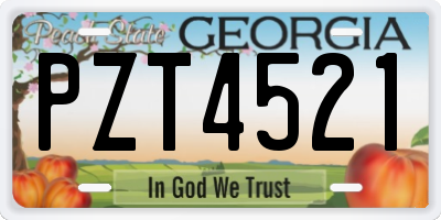 GA license plate PZT4521