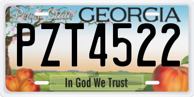 GA license plate PZT4522