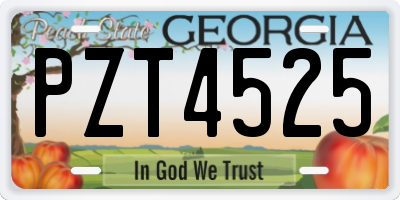 GA license plate PZT4525