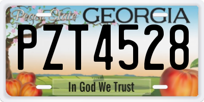 GA license plate PZT4528