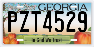 GA license plate PZT4529