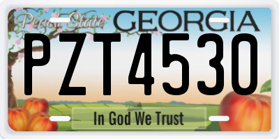 GA license plate PZT4530