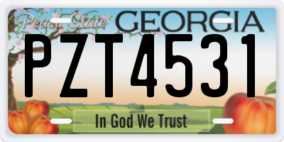 GA license plate PZT4531