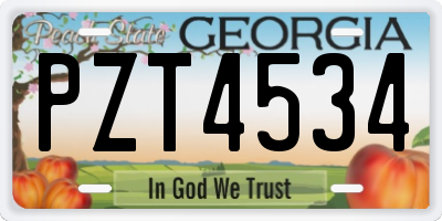 GA license plate PZT4534