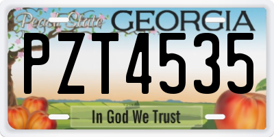 GA license plate PZT4535