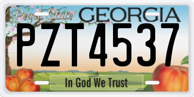 GA license plate PZT4537