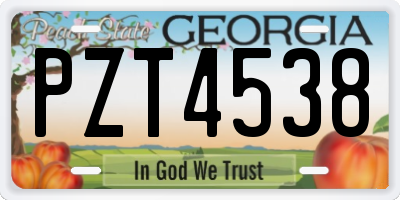 GA license plate PZT4538