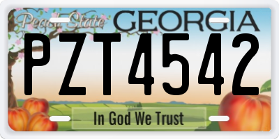 GA license plate PZT4542