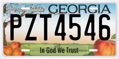 GA license plate PZT4546