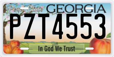 GA license plate PZT4553