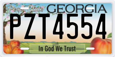GA license plate PZT4554