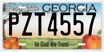 GA license plate PZT4557