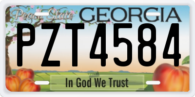 GA license plate PZT4584