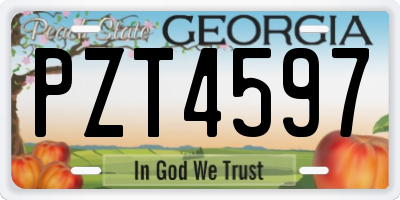 GA license plate PZT4597