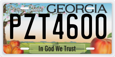 GA license plate PZT4600