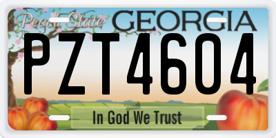 GA license plate PZT4604