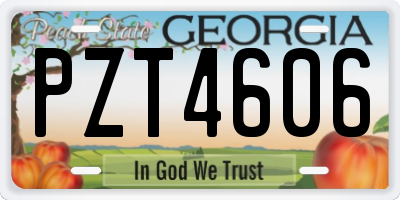 GA license plate PZT4606