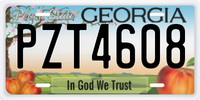 GA license plate PZT4608