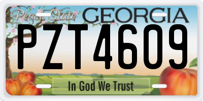GA license plate PZT4609