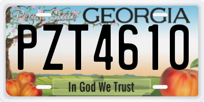 GA license plate PZT4610