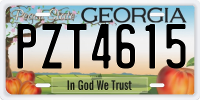 GA license plate PZT4615