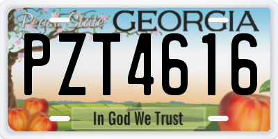 GA license plate PZT4616