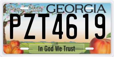 GA license plate PZT4619
