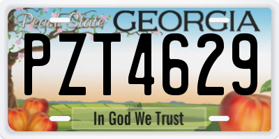 GA license plate PZT4629