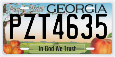 GA license plate PZT4635