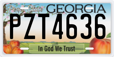 GA license plate PZT4636